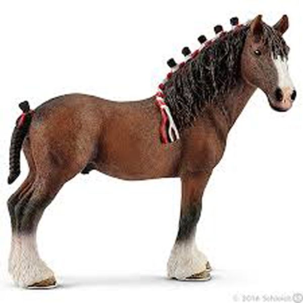 Castrone Clydesdale 13808