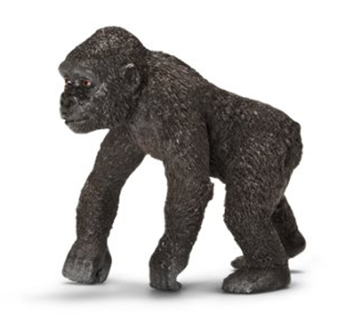 Gorilla Cucciolo - Clicca l'immagine per chiudere