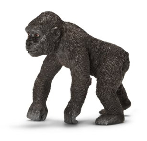 Gorilla Cucciolo