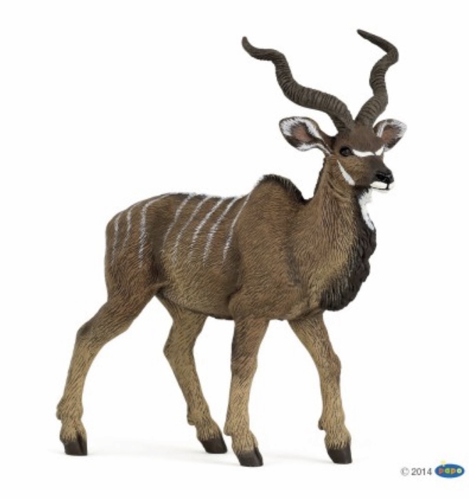 Antilope Kudu