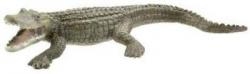 Coccodrillo