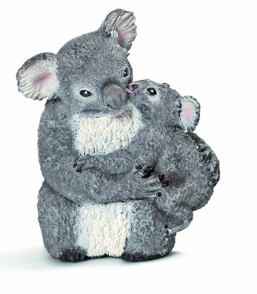 Koala con Cucciolo