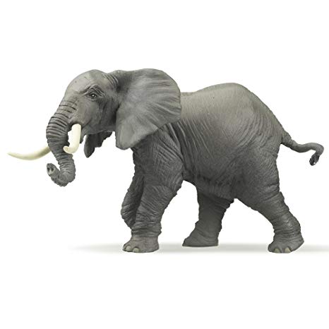 Elefante africano - Clicca l'immagine per chiudere