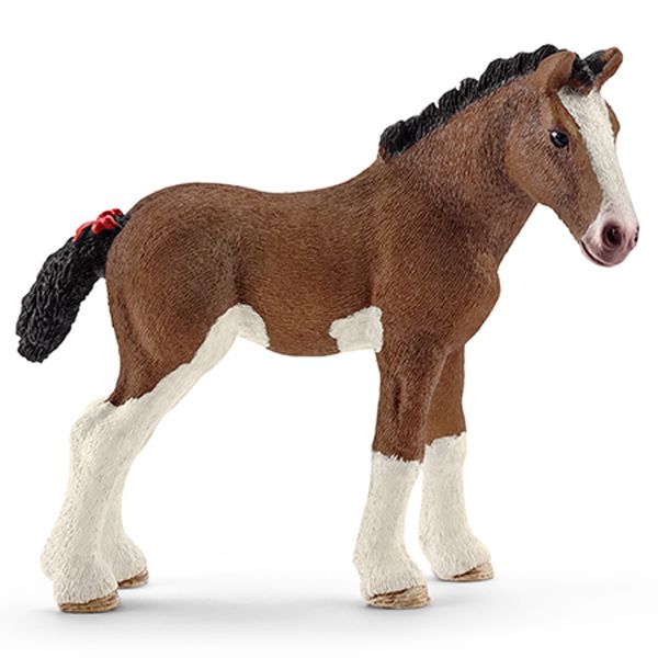 Puledro Clydesdale
