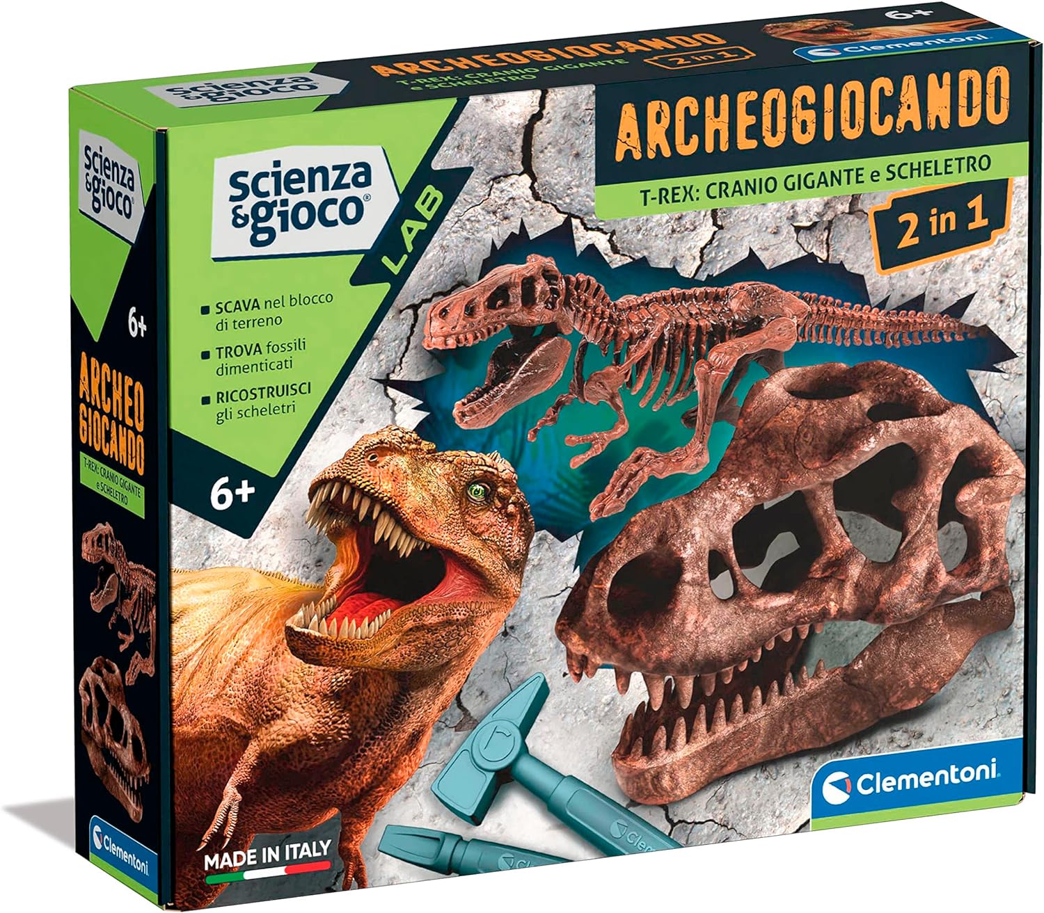Archeogiocando cranio gigante e scheletro T-Rex