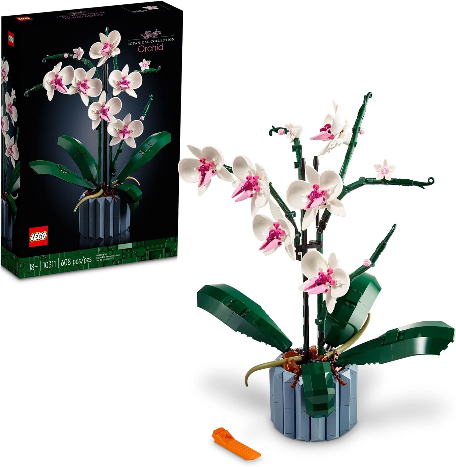 Orchidee - Clicca l'immagine per chiudere