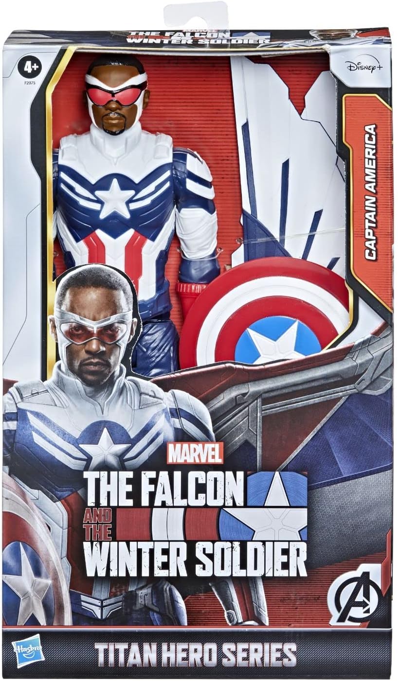 The Falcon and The Winter Soldier Titan Hero