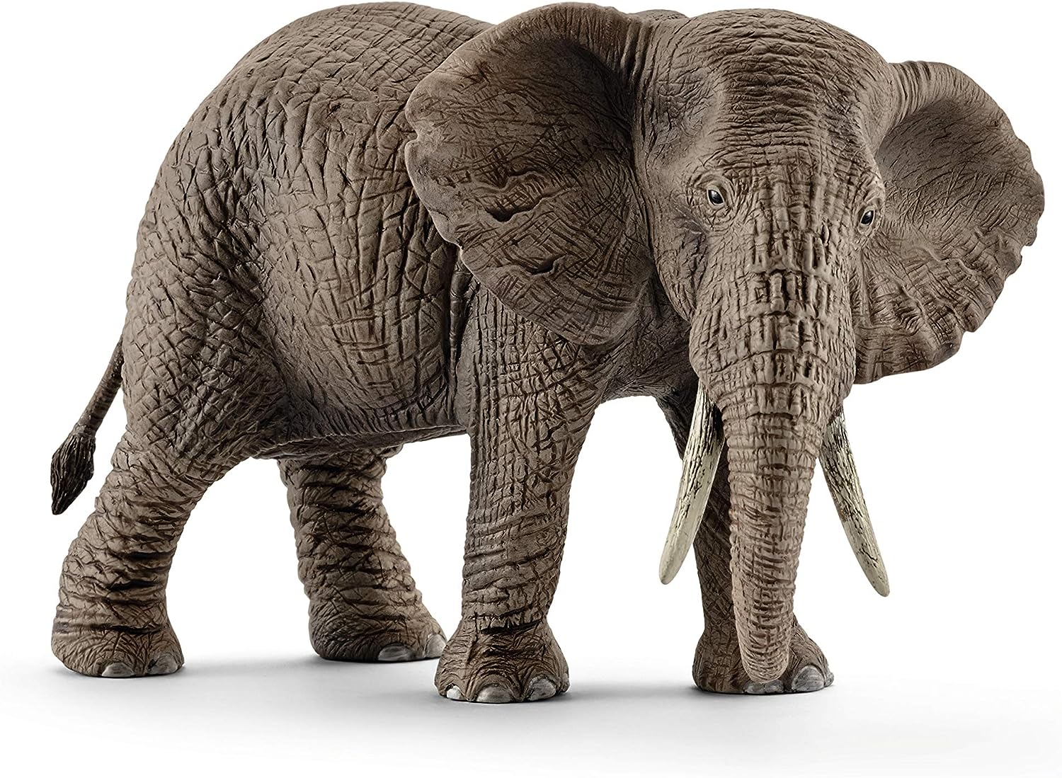 Elefante Africano femmina 14761 - Clicca l'immagine per chiudere