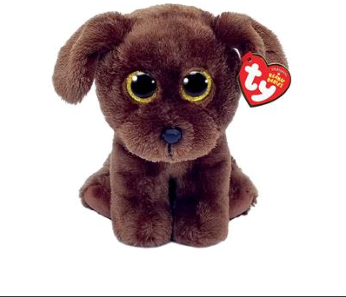 Beanie Boo's - Nuzzel